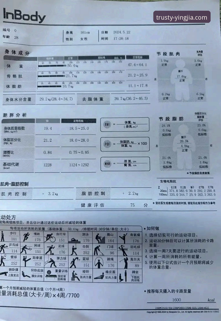 盈嘉体育数据深度评测：一个实战派用户的真实体验报告